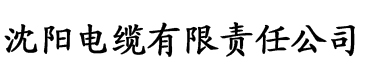 硬汉视频官网电缆厂logo